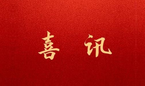 中国（广西）自由贸易试验区钦州港片区招商服务中心与k8凯发一触即发能源集团签订战略合作框架协议